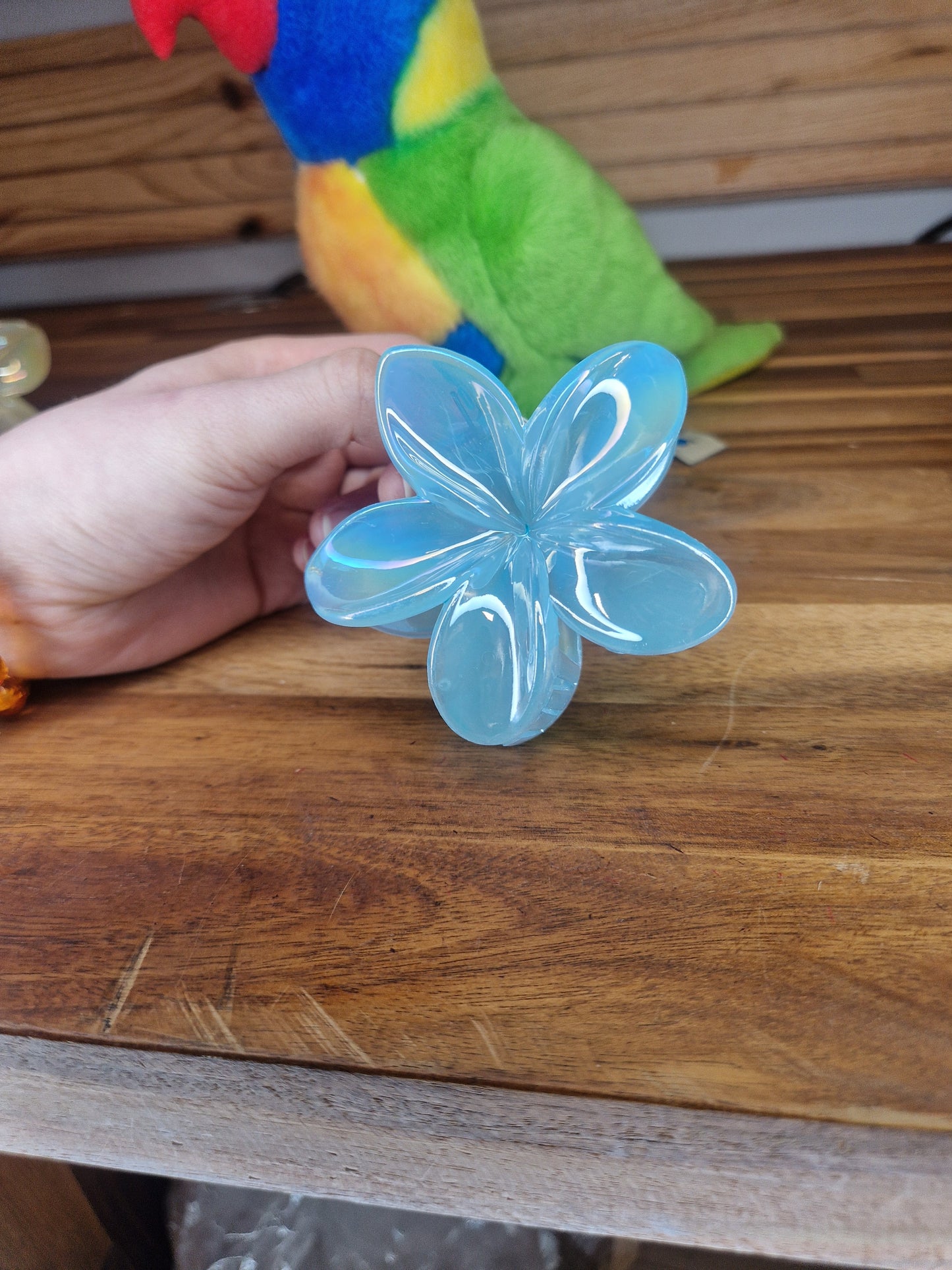 Pince Hawaï teintes pastel