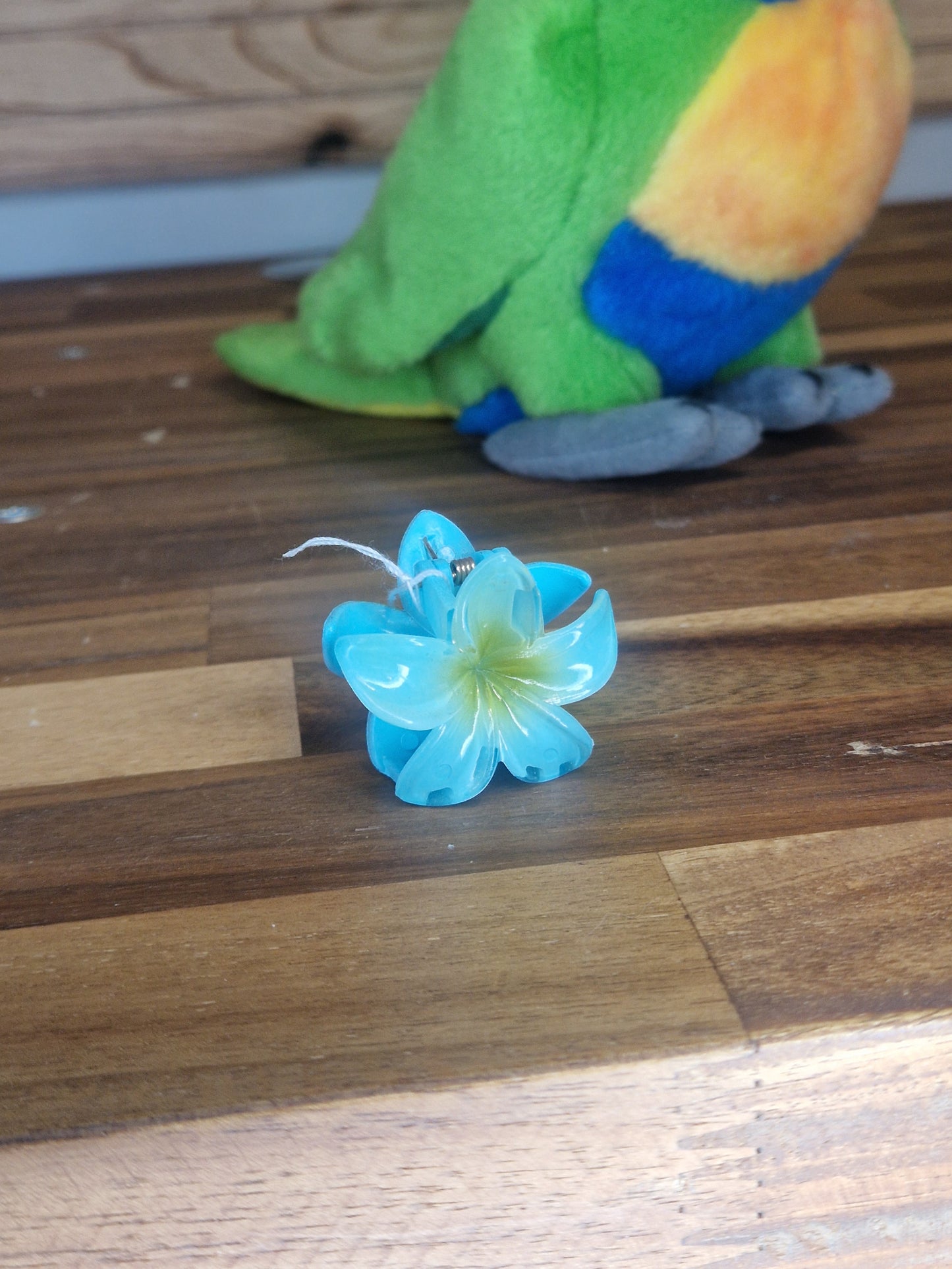 Mini pince Hawaï