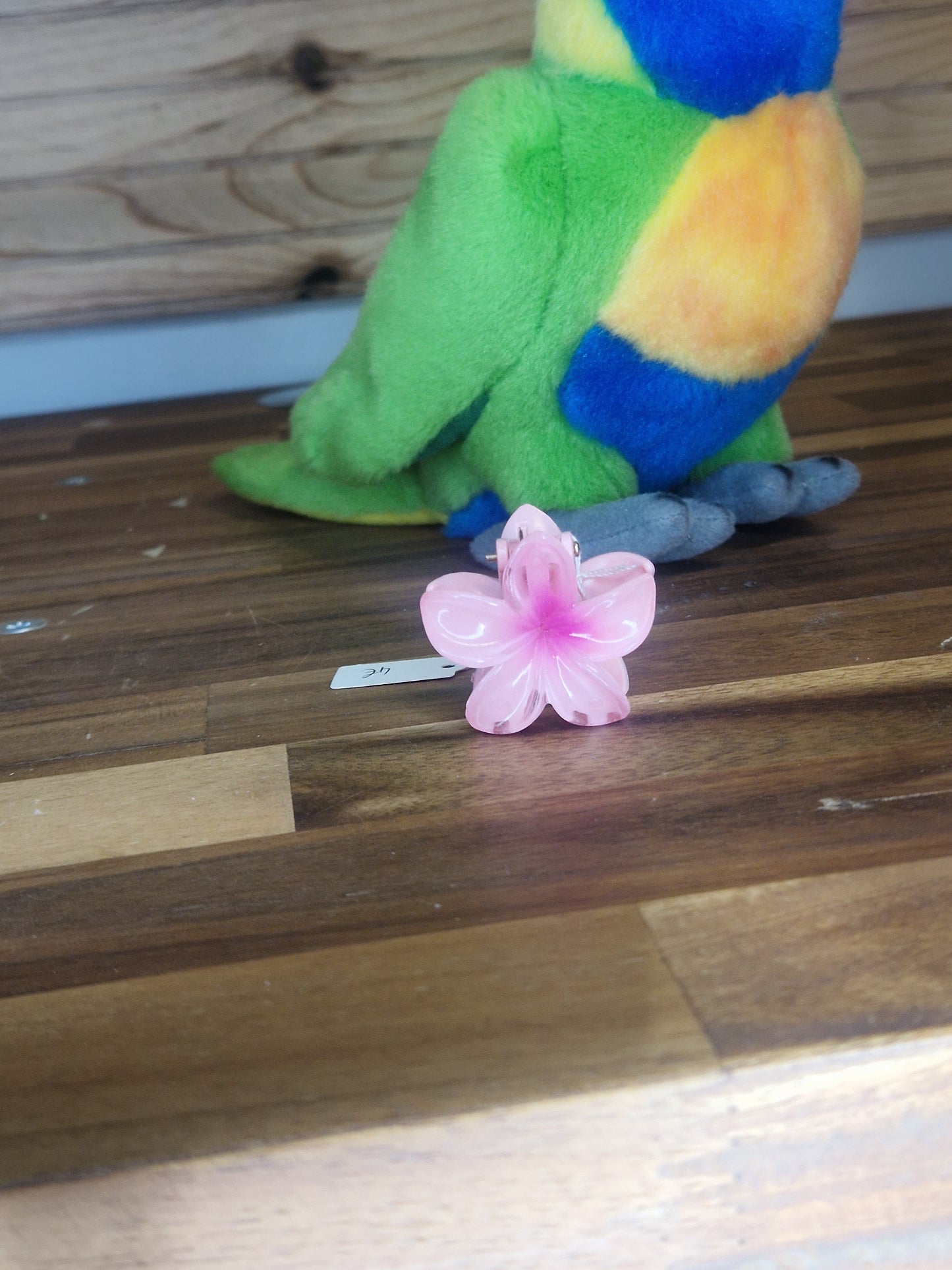 Mini pince Hawaï