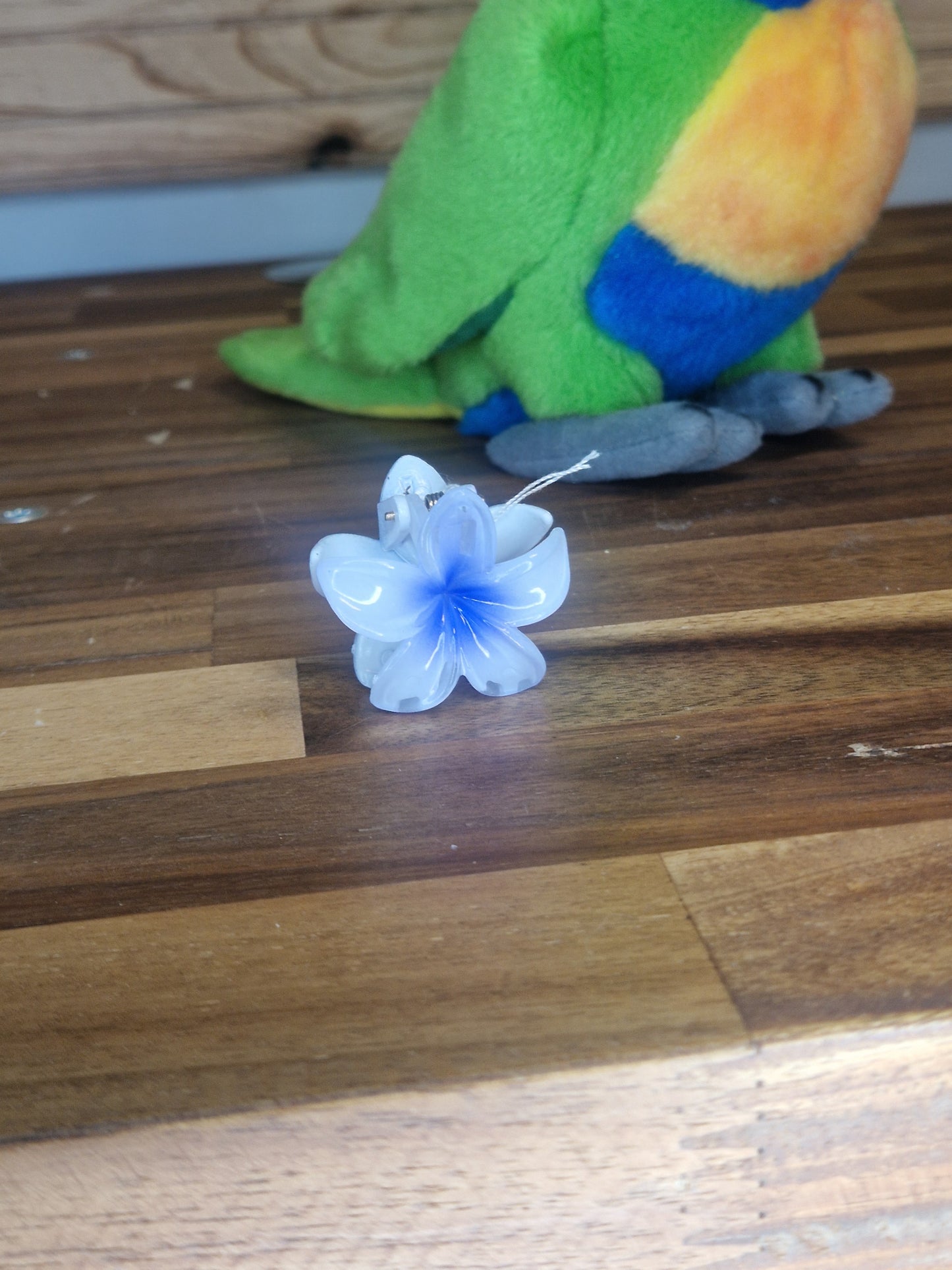 Mini pince Hawaï
