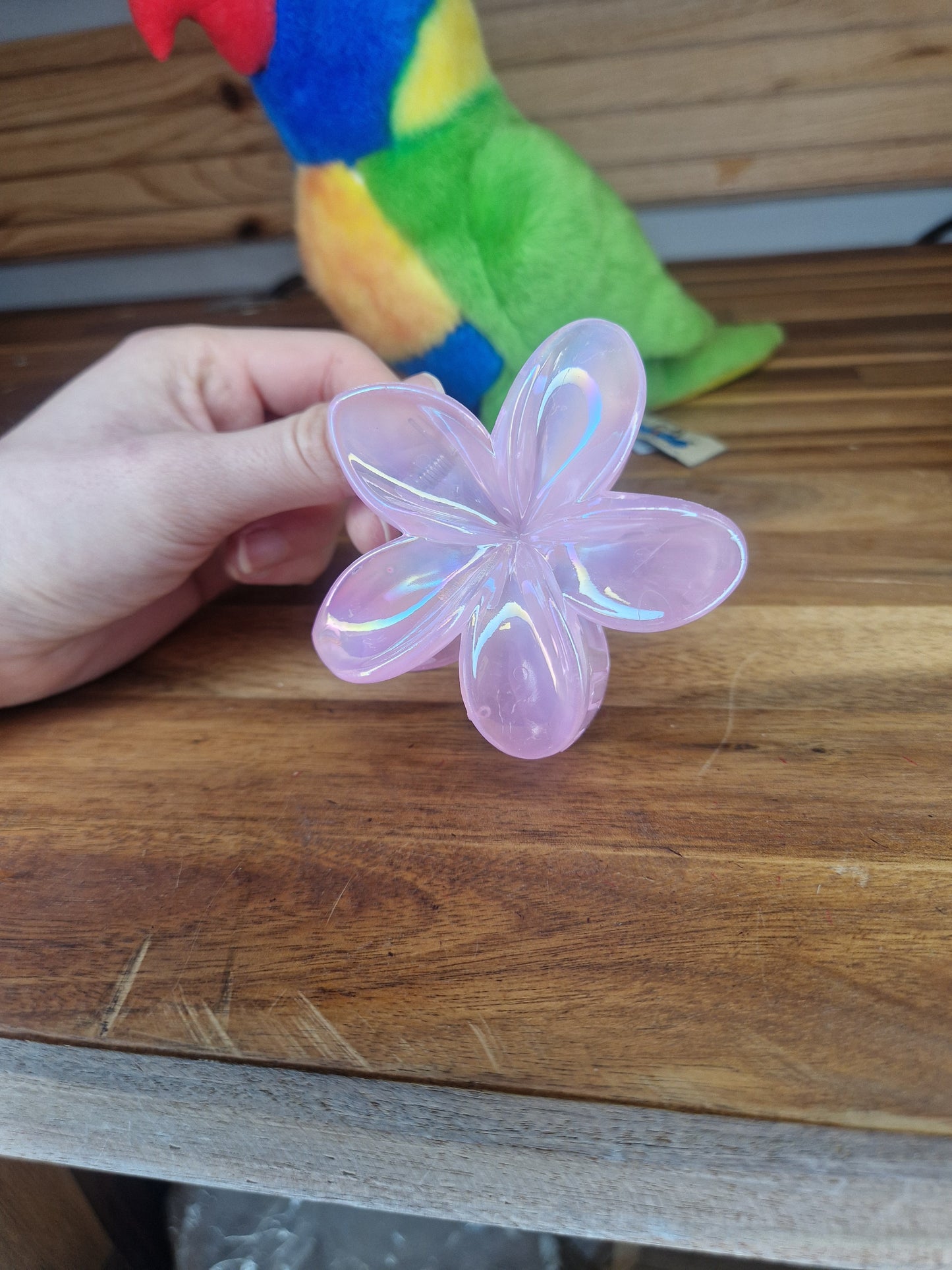 Pince Hawaï teintes pastel
