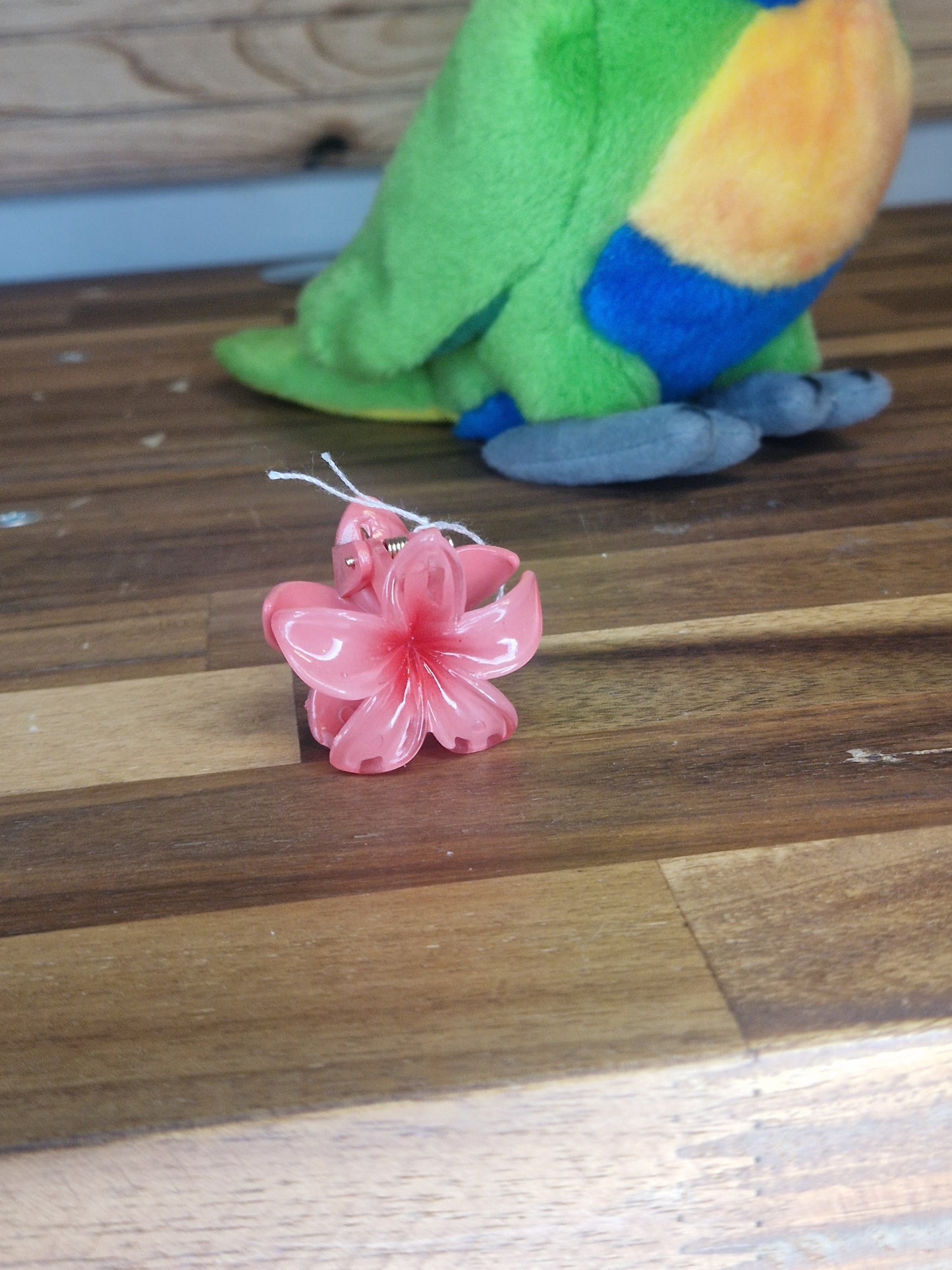 Mini pince Hawaï
