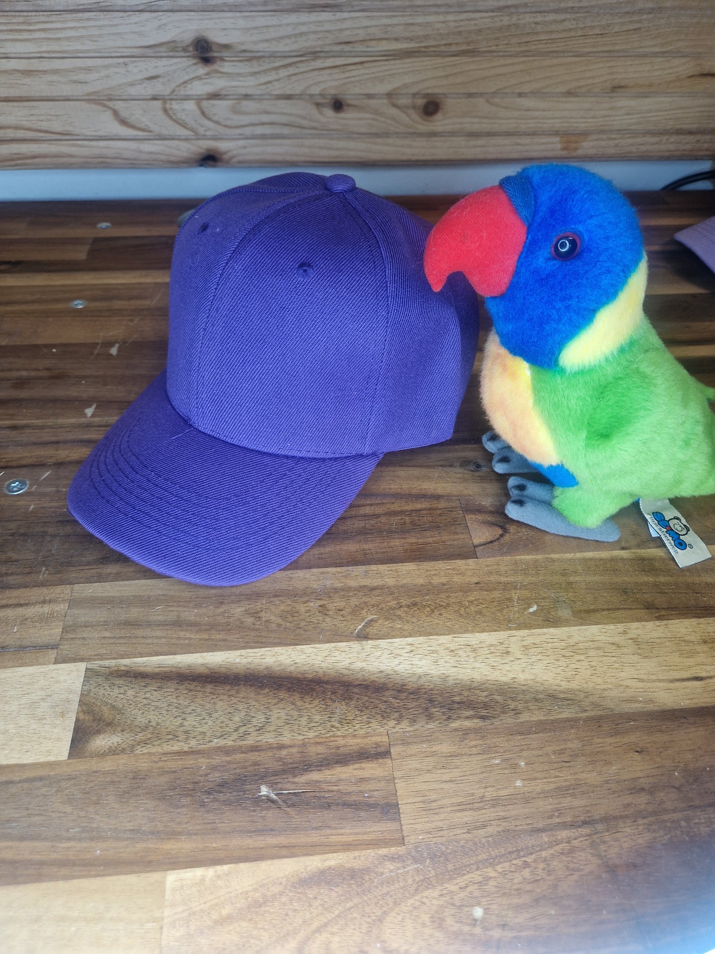 Casquette colorée