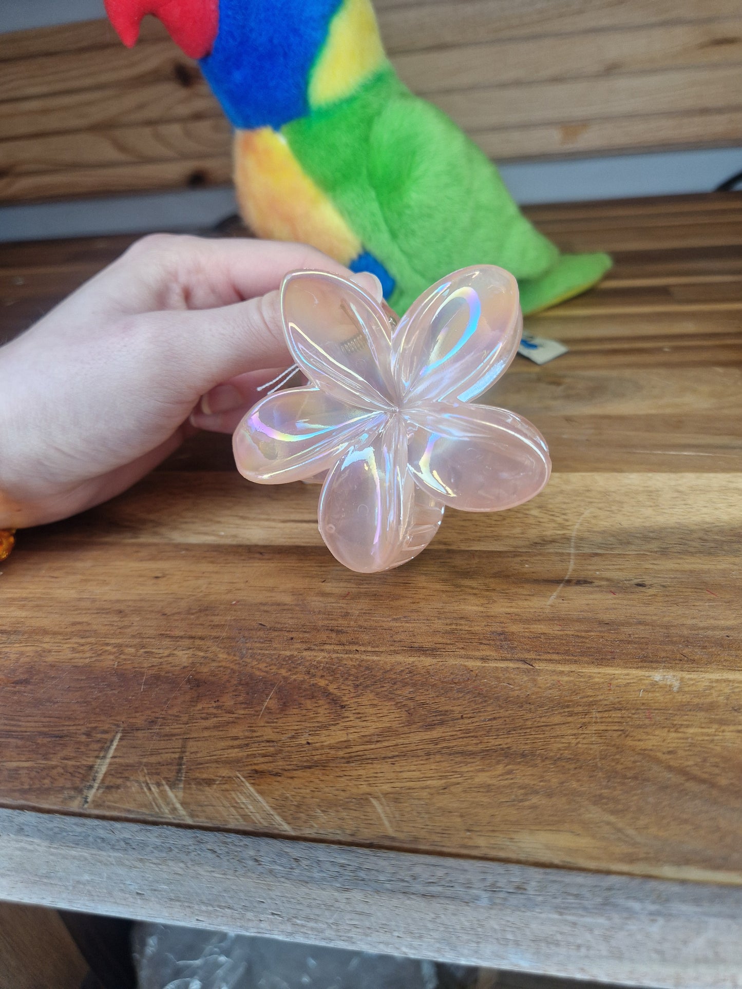 Pince Hawaï teintes pastel