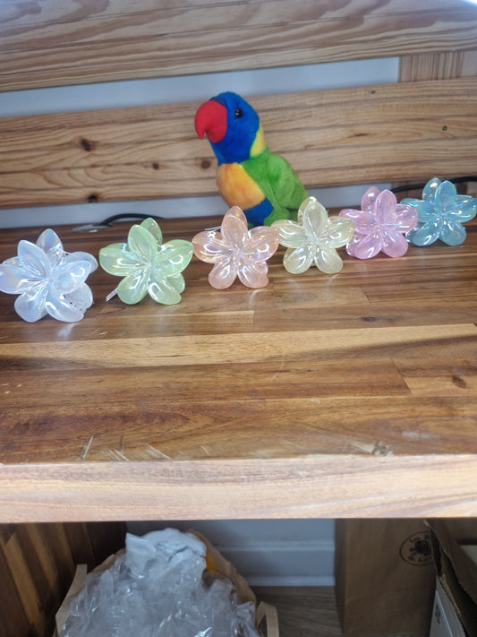 Pince Hawaï teintes pastel