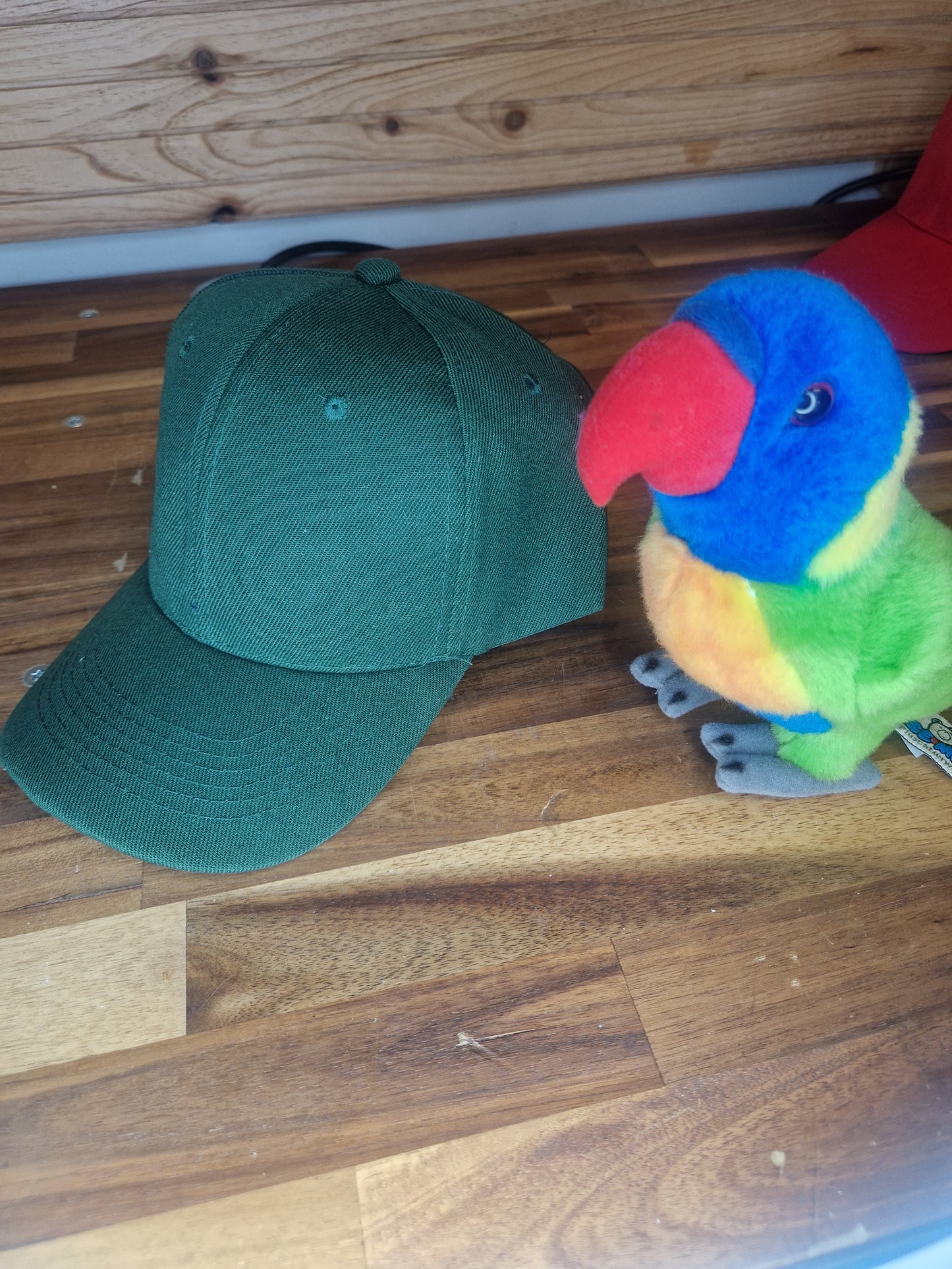 Casquette colorée