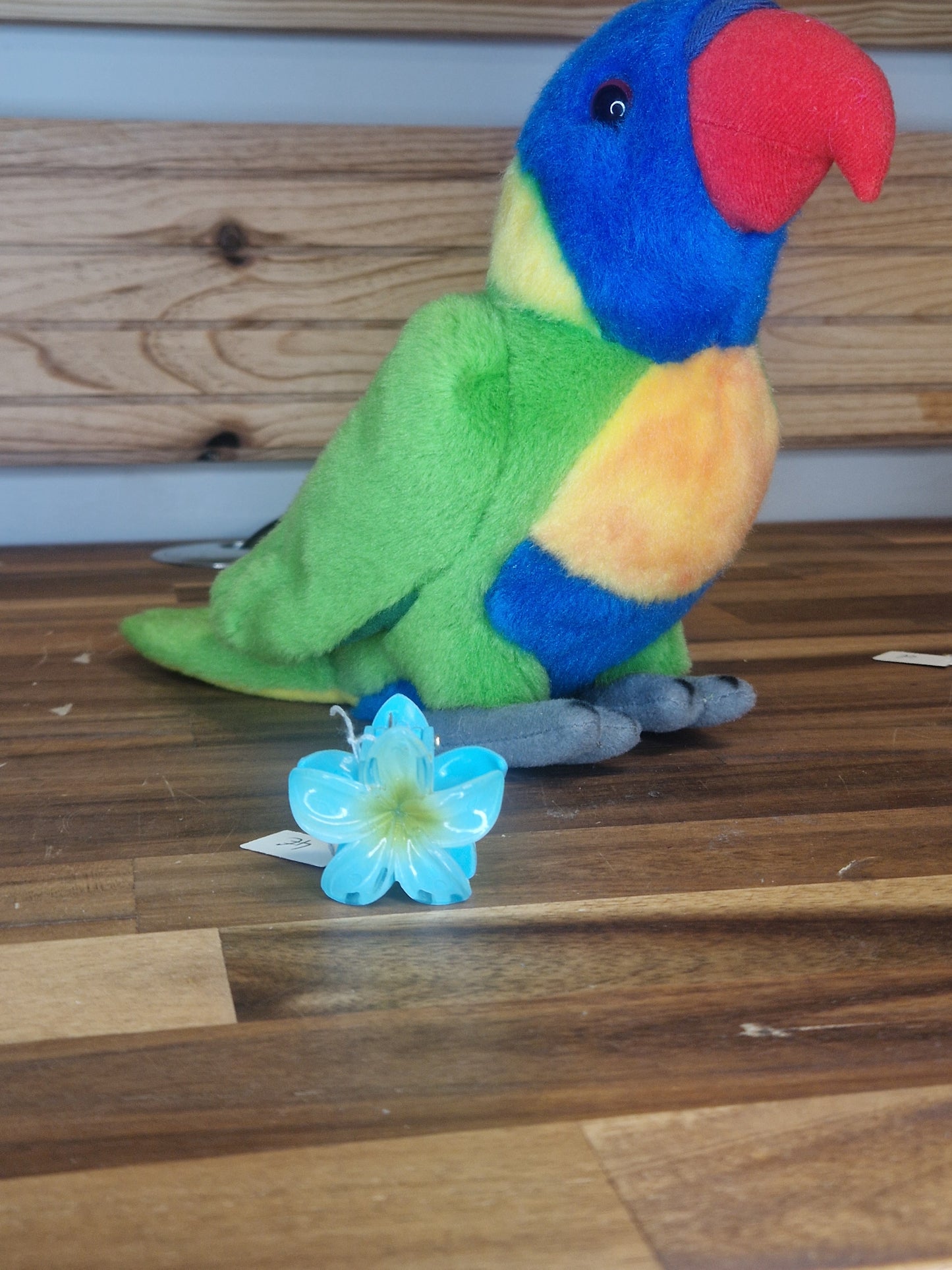 Mini pince Hawaï