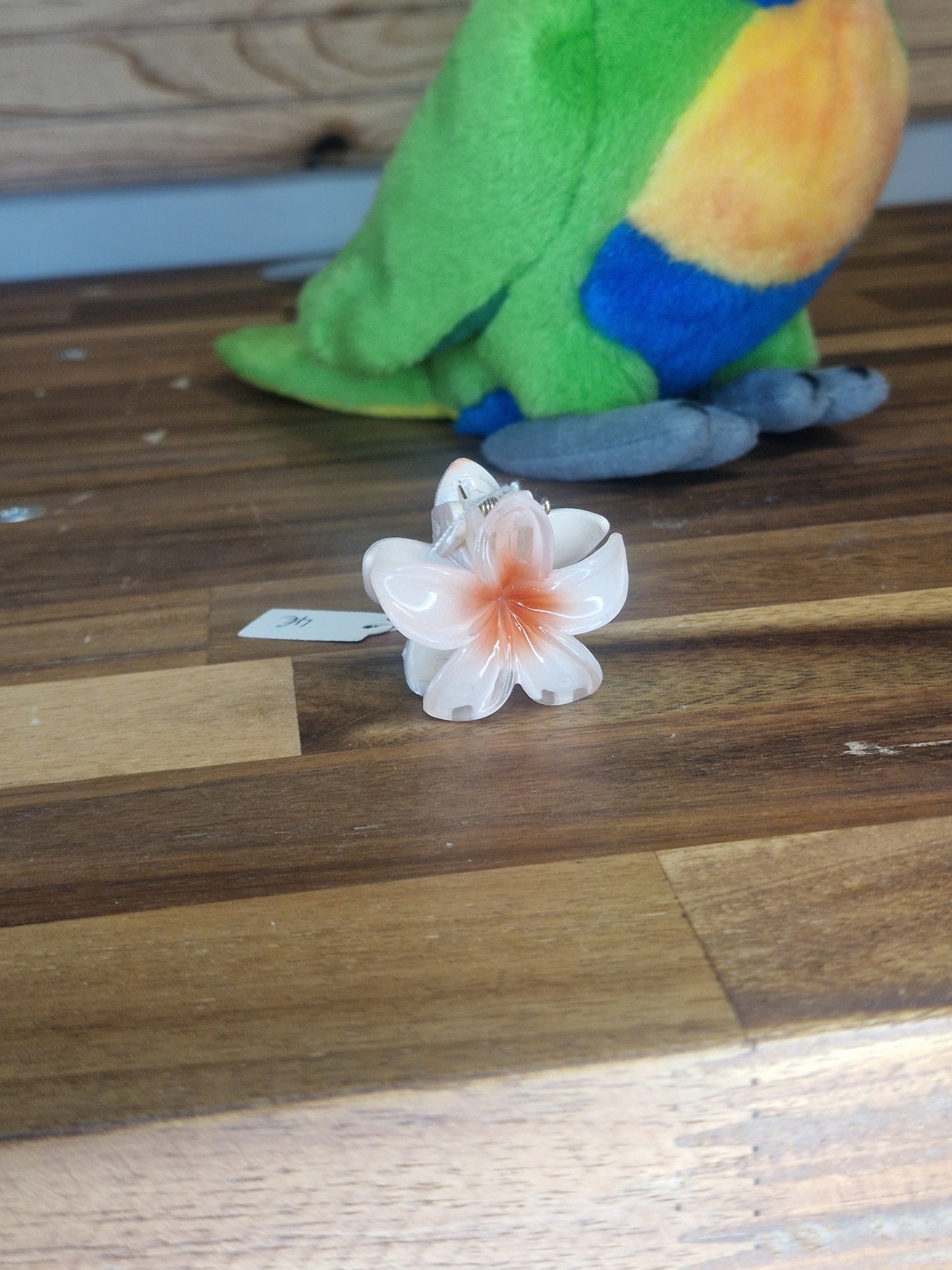 Mini pince Hawaï