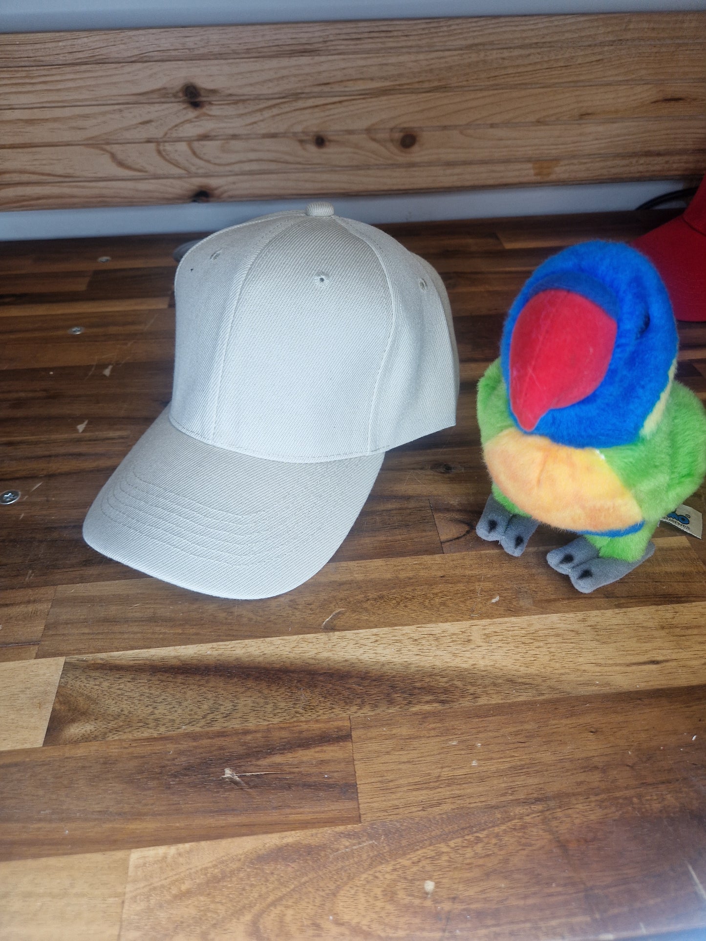 Casquette colorée
