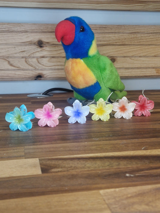 Mini pince Hawaï