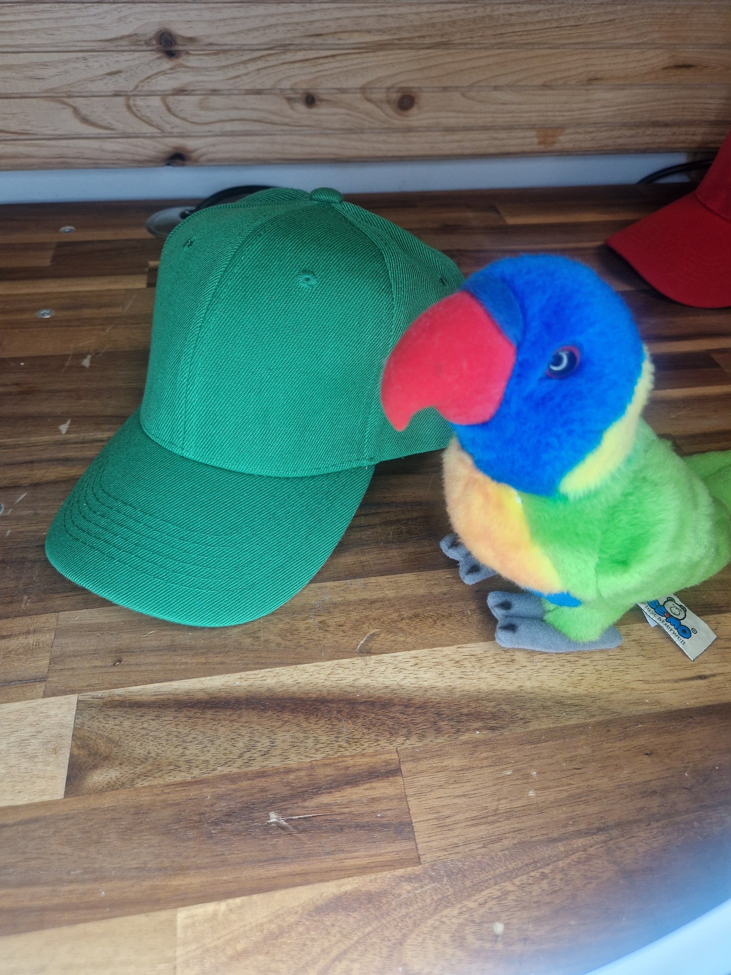 Casquette colorée