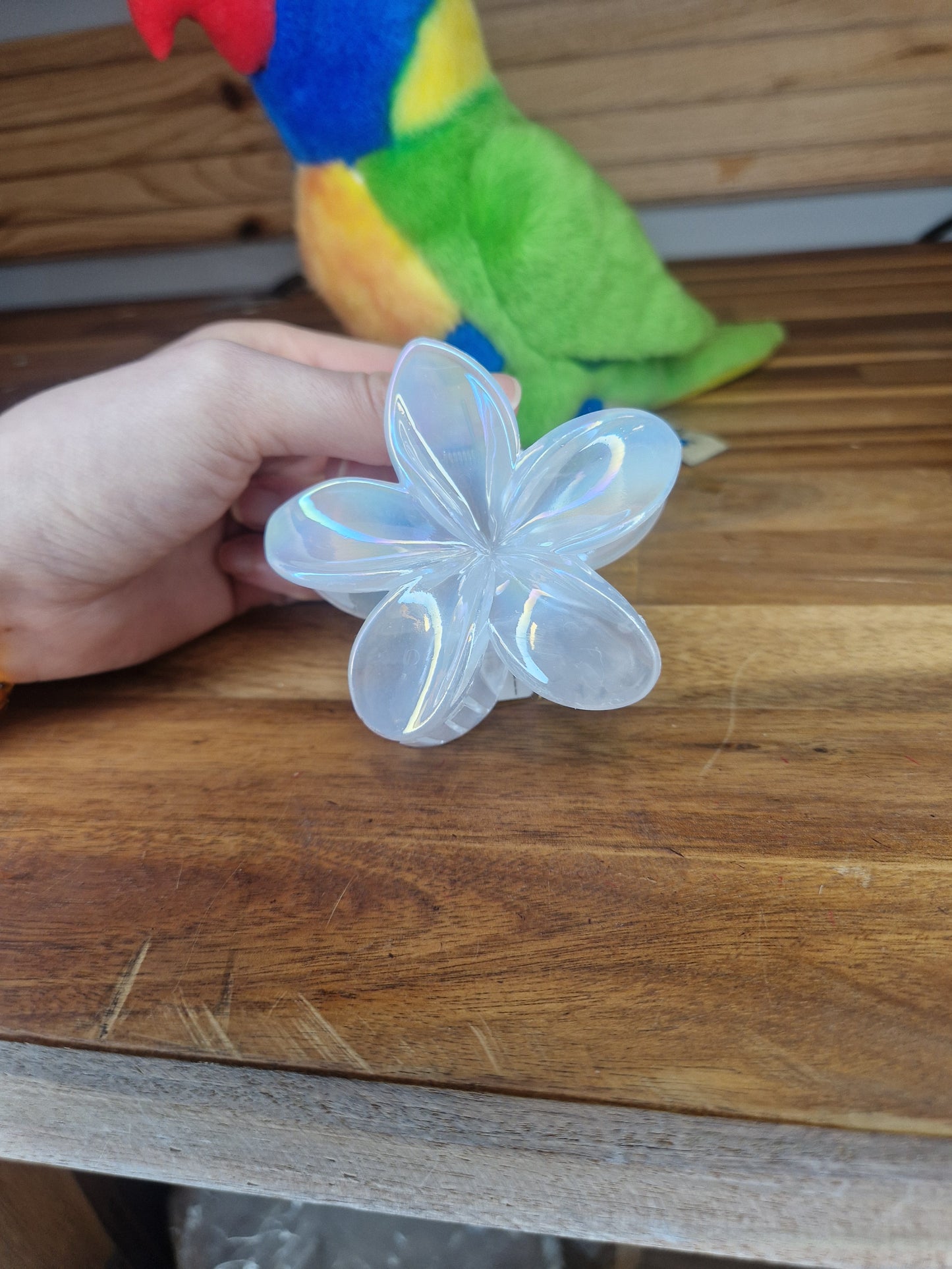 Pince Hawaï teintes pastel