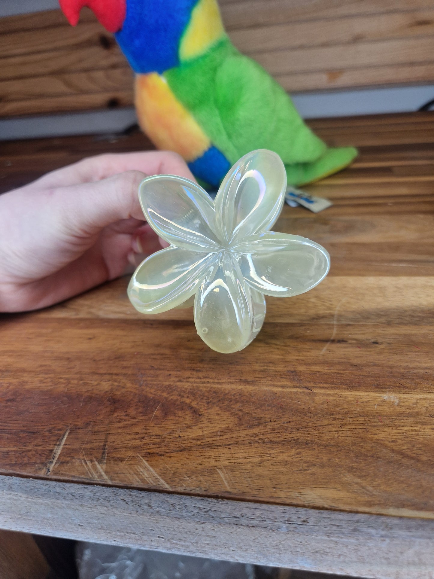 Pince Hawaï teintes pastel