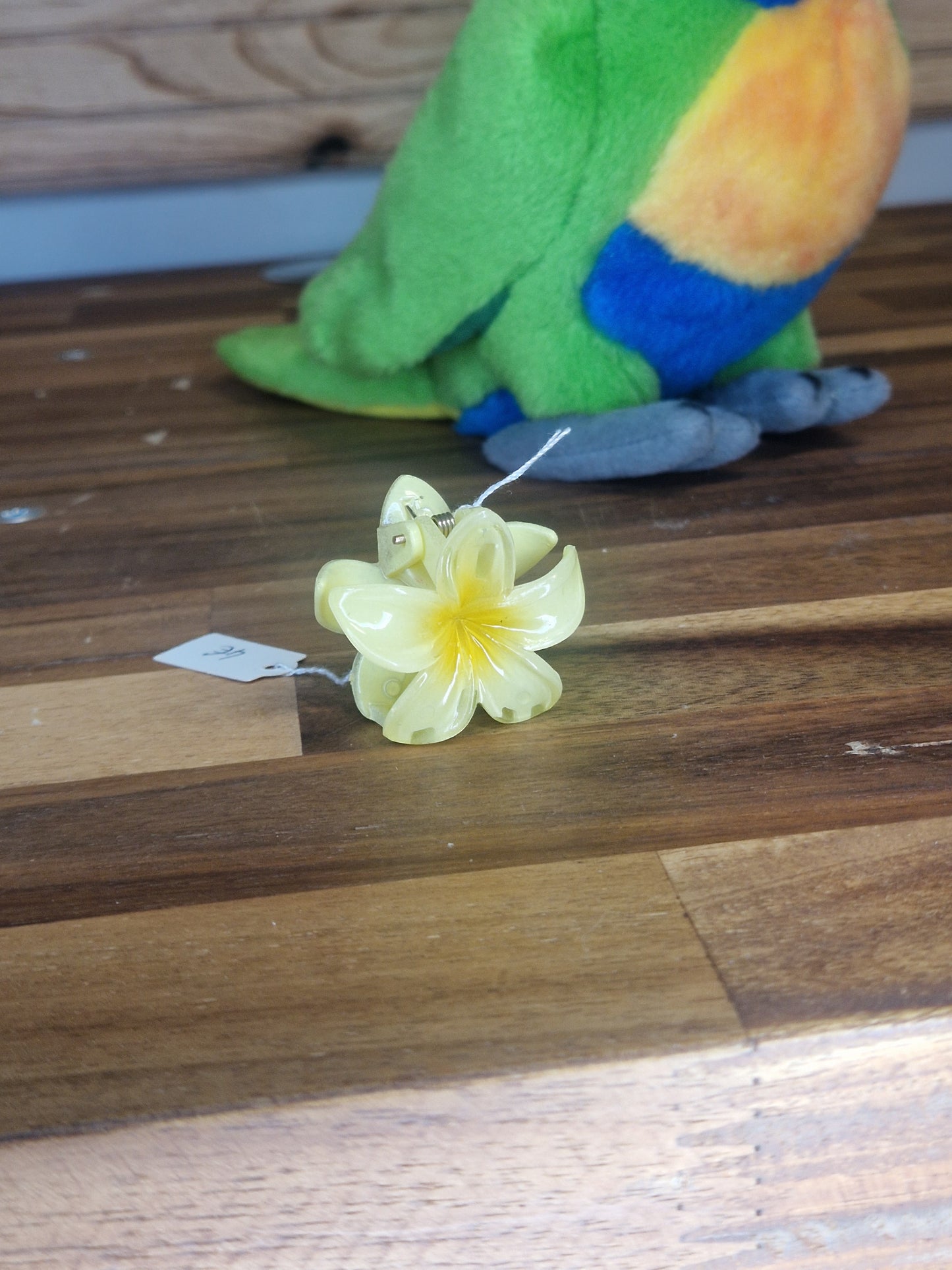 Mini pince Hawaï