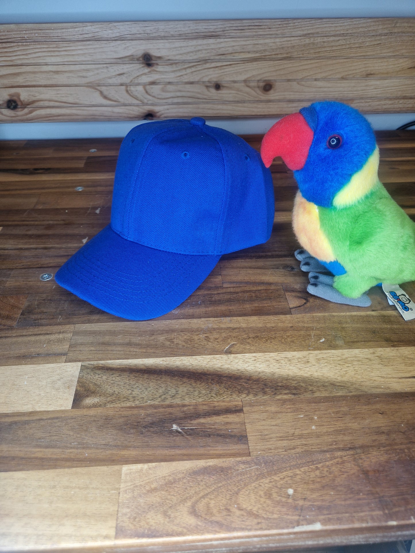 Casquette colorée