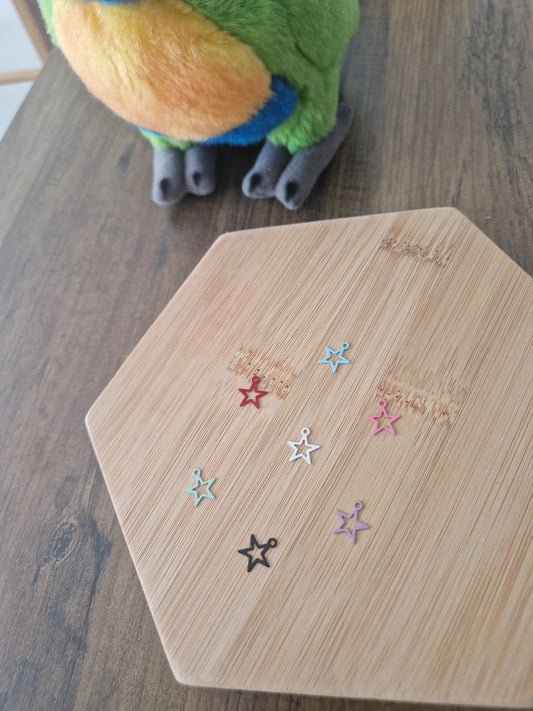 Colorful Star Charm