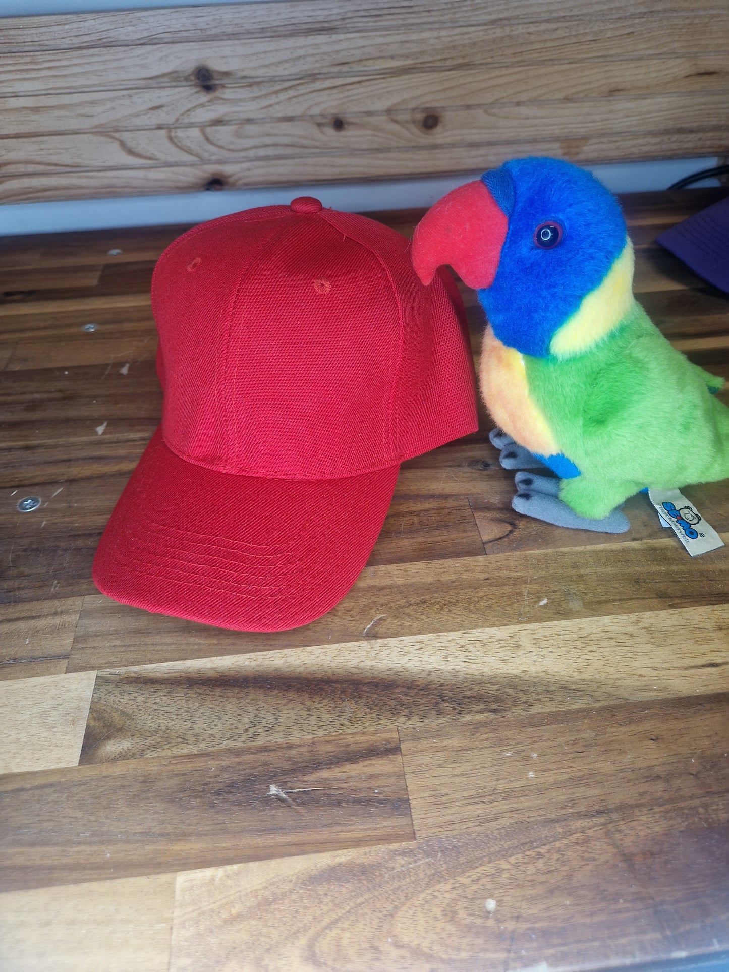 Casquette colorée